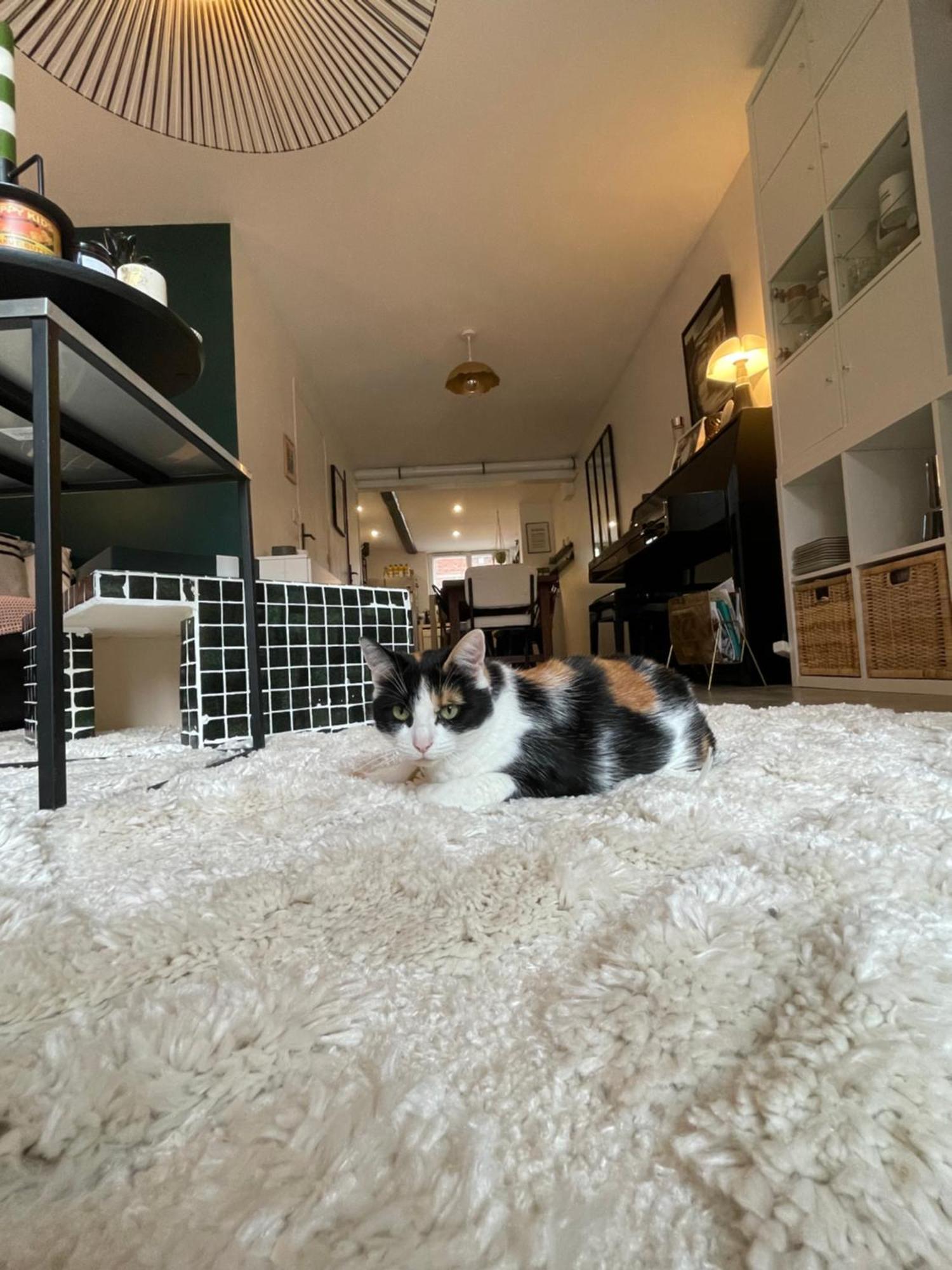 L'Annexe Amiens Otel Dış mekan fotoğraf